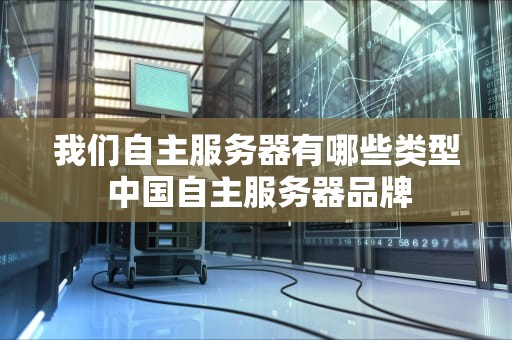 我们自主服务器有哪些类型 中国自主服务器品牌