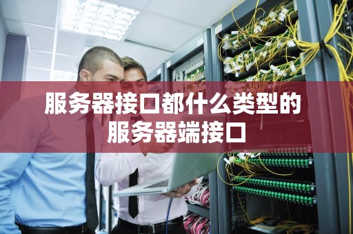 服务器接口都什么类型的 服务器端接口