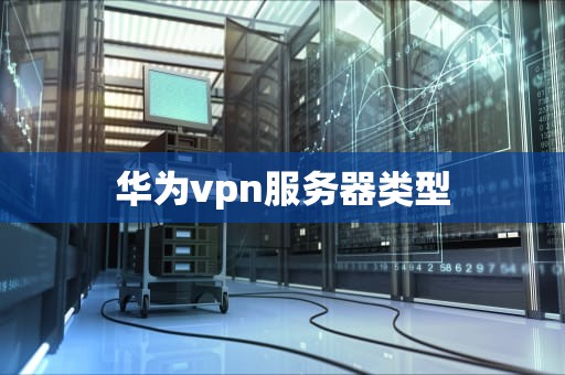 华为vpn服务器类型