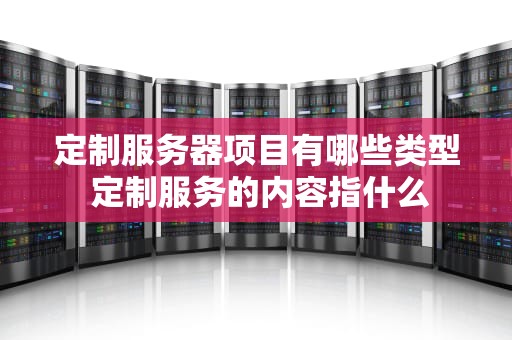 定制服务器项目有哪些类型 定制服务的内容指什么