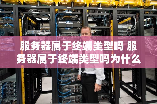服务器属于终端类型吗 服务器属于终端类型吗为什么