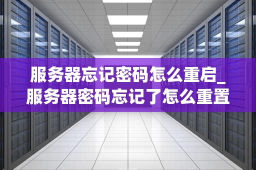 服务器忘记密码怎么重启_服务器密码忘记了怎么重置_服务器忘记密码的重启解决方案
