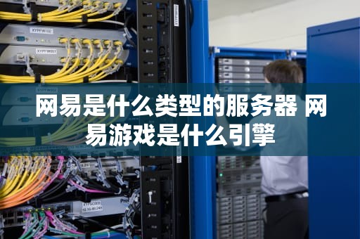 网易是什么类型的服务器 网易游戏是什么引擎