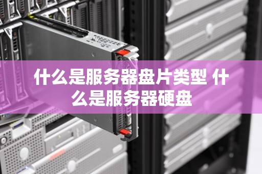 什么是服务器盘片类型 什么是服务器硬盘