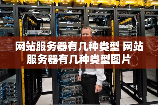 网站服务器有几种类型 网站服务器有几种类型图片