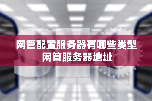 网管配置服务器有哪些类型 网管服务器地址