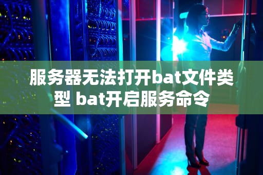 服务器无法打开bat文件类型 bat开启服务命令