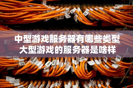 中型游戏服务器有哪些类型 大型游戏的服务器是啥样的