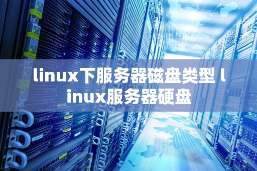 linux下服务器磁盘类型 linux服务器硬盘