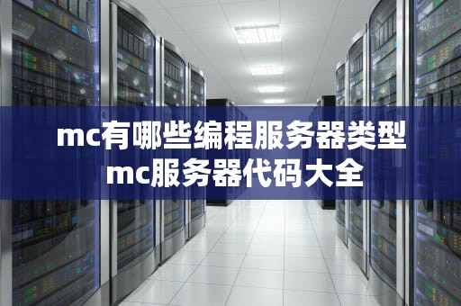mc有哪些编程服务器类型 mc服务器代码大全