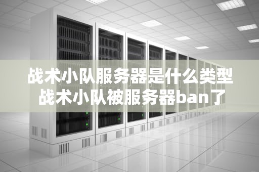 战术小队服务器是什么类型 战术小队被服务器ban了