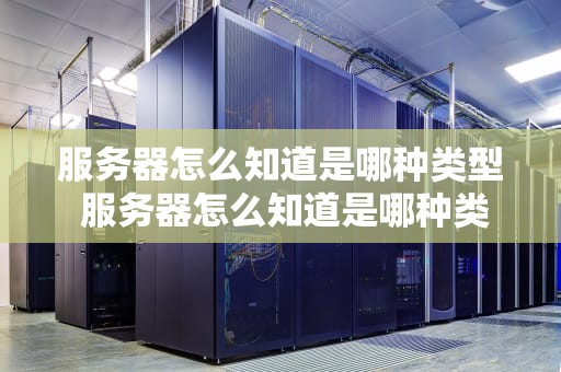 服务器怎么知道是哪种类型 服务器怎么知道是哪种类型硬盘
