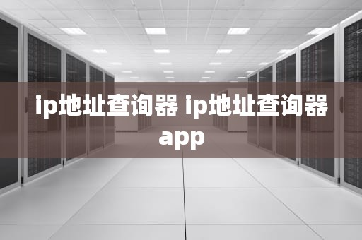 ip地址查询器 ip地址查询器app