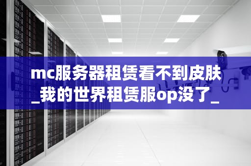 mc服务器租赁看不到皮肤_我的世界租赁服op没了_MC服务器租赁看不到皮肤的问题及解决方案