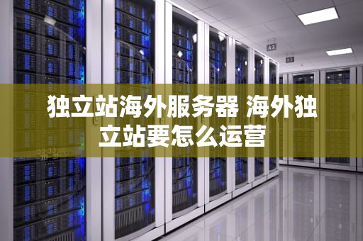 独立站海外服务器 海外独立站要怎么运营