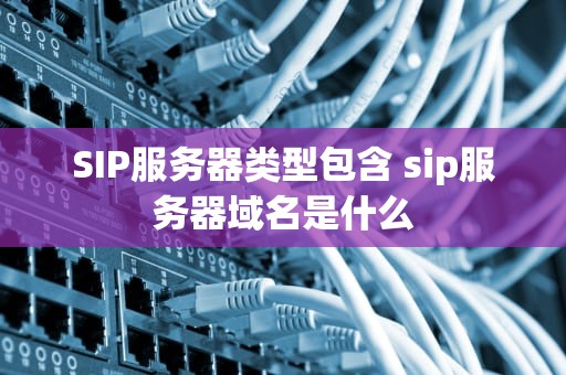 SIP服务器类型包含 sip服务器域名是什么