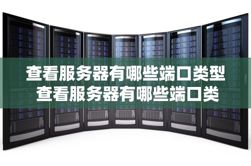 查看服务器有哪些端口类型 查看服务器有哪些端口类型的