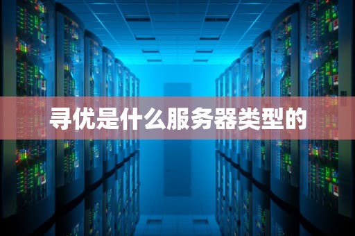 寻优是什么服务器类型的