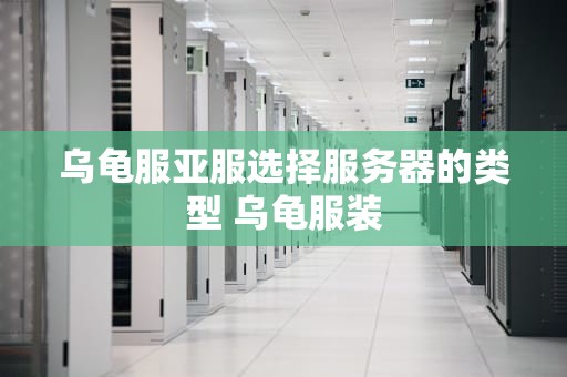 乌龟服亚服选择服务器的类型 乌龟服装
