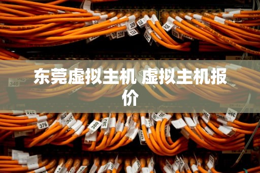 东莞虚拟主机 虚拟主机报价