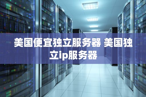 美国便宜独立服务器 美国独立ip服务器