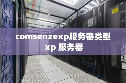 comsenzexp服务器类型 xp 服务器