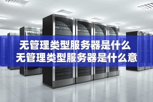 无管理类型服务器是什么 无管理类型服务器是什么意思