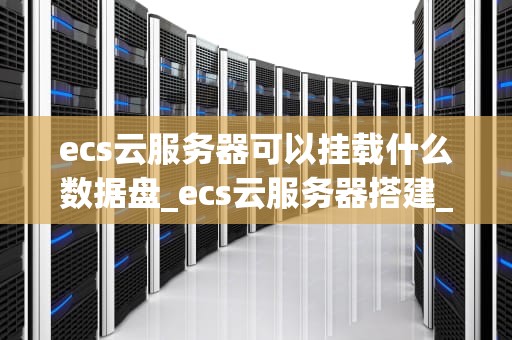 ecs云服务器可以挂载什么数据盘_ecs云服务器搭建_ECS云服务器数据盘挂载的全面解析