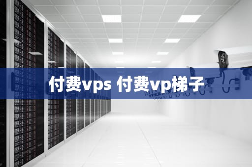付费vps 付费vp梯子