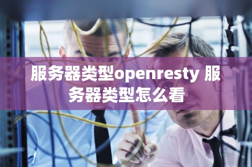 服务器类型openresty 服务器类型怎么看