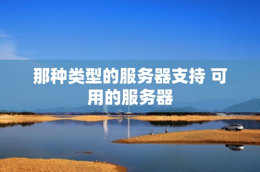 那种类型的服务器支持 可用的服务器