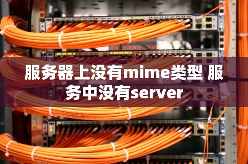 服务器上没有mime类型 服务中没有server