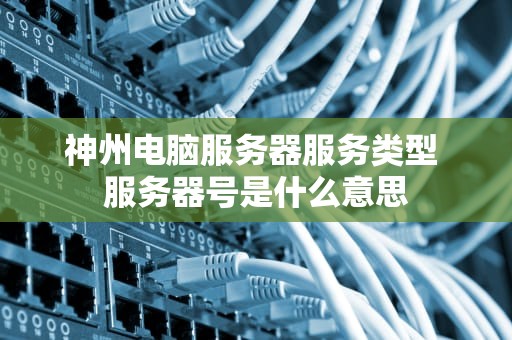 神州电脑服务器服务类型 服务器号是什么意思