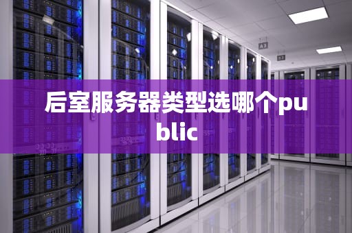 后室服务器类型选哪个public
