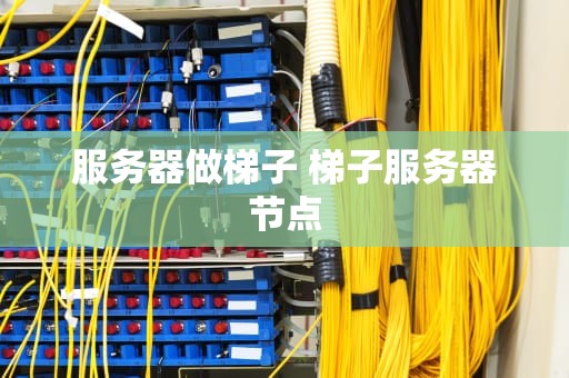 服务器做梯子 梯子服务器节点