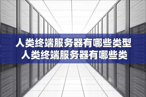 人类终端服务器有哪些类型 人类终端服务器有哪些类型和功能