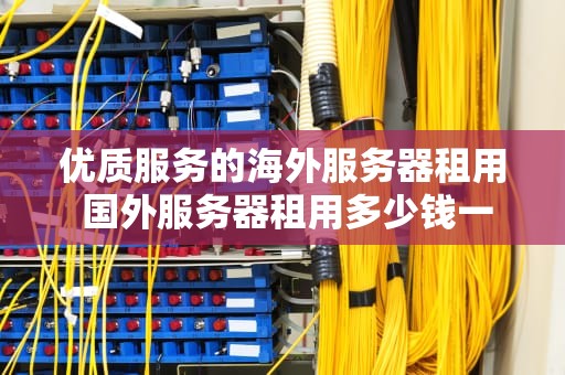 优质服务的海外服务器租用 国外服务器租用多少钱一年