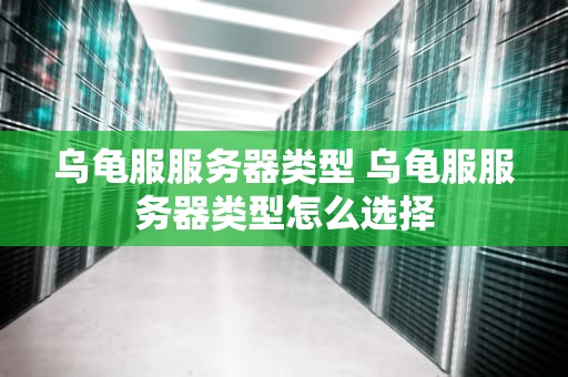乌龟服服务器类型 乌龟服服务器类型怎么选择