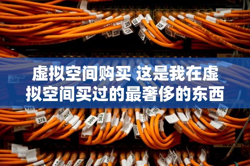虚拟空间购买 这是我在虚拟空间买过的最奢侈的东西