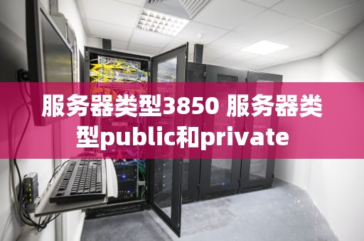 服务器类型3850 服务器类型public和private