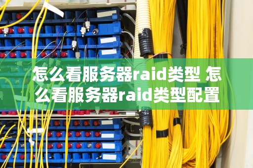 怎么看服务器raid类型 怎么看服务器raid类型配置