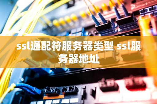 ssl通配符服务器类型 ssl服务器地址