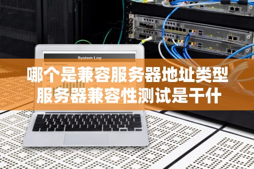 哪个是兼容服务器地址类型 服务器兼容性测试是干什么的