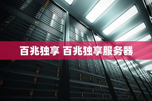 百兆独享 百兆独享服务器