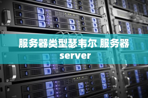 服务器类型瑟韦尔 服务器 server
