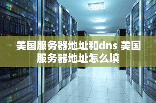 美国服务器地址和dns 美国服务器地址怎么填