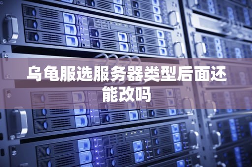 乌龟服选服务器类型后面还能改吗
