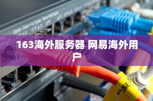 163海外服务器 网易海外用户