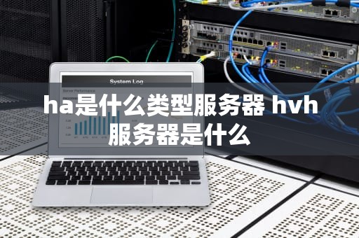 ha是什么类型服务器 hvh服务器是什么