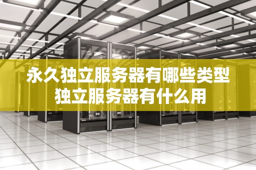 永久独立服务器有哪些类型 独立服务器有什么用